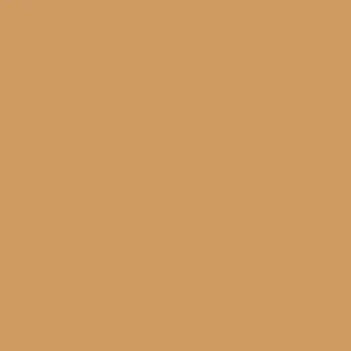 Siser EasyWeed HTV - Tan - Savvy Crafters Vinyl & Gifts