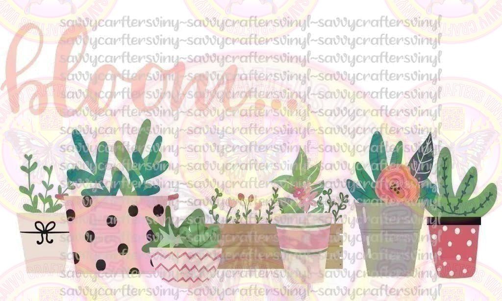 Bloom Cactus Flowers - Savvy Crafters Vinyl & Gifts