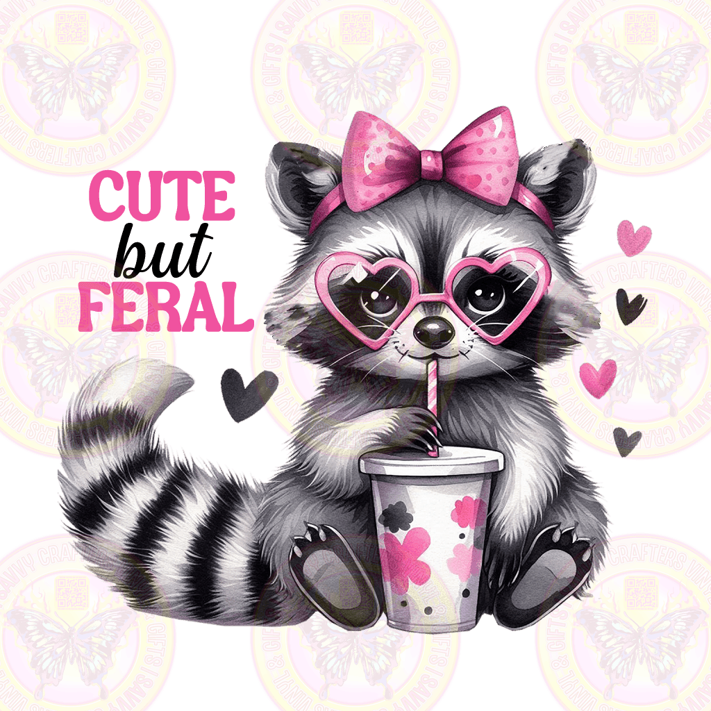 Cute But Feral Raccoon - Savvy Crafters Vinyl & Gifts